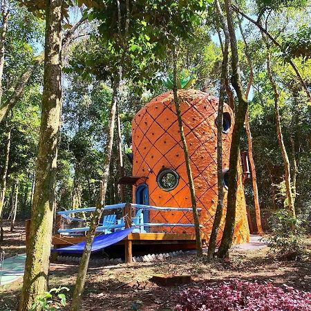 Casa Abacaxi, Vila Magica Bueno Brandão Exteriér fotografie